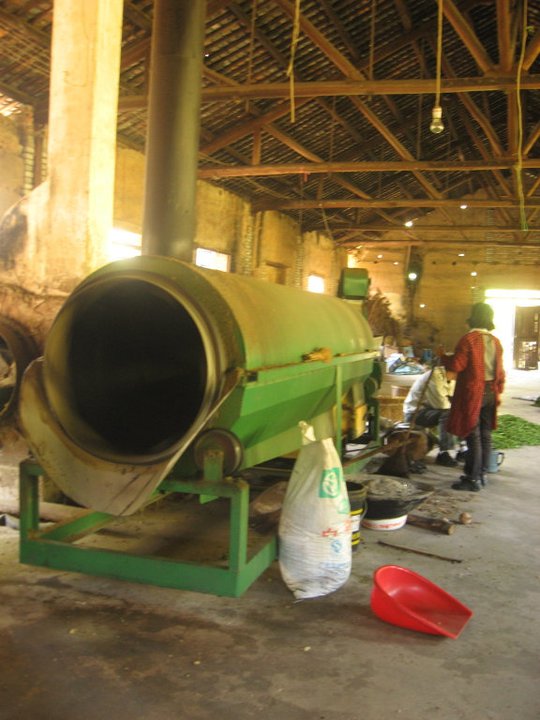 SuichangTeaProcessing