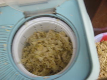 Who else do you know that can say they stuffed cabbage in a washing machine?