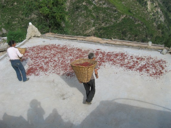 FatherMOtherHuajioRoof