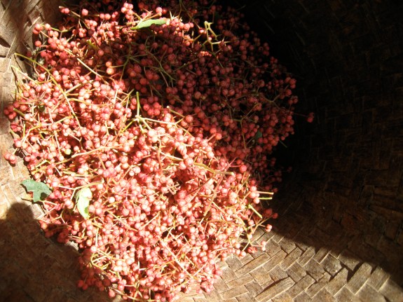 HuajiaoBasketLastphoto