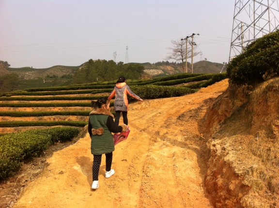 TeaFIeldsGirlsHiking