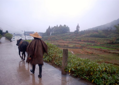 Man - canvas covering behind