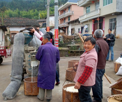 Sifting Rice
